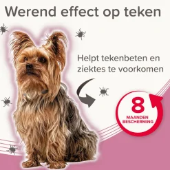 Beaphar Medicinale Halsband Hond