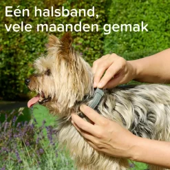 Beaphar Medicinale Halsband Hond