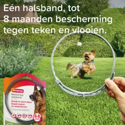 Beaphar Medicinale Halsband Hond