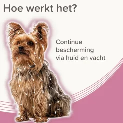 Beaphar Medicinale Halsband Hond