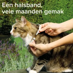 Beaphar Medicinale Halsband Kat