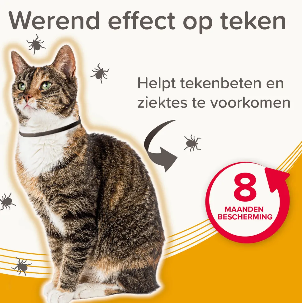 Beaphar Medicinale Halsband Kat