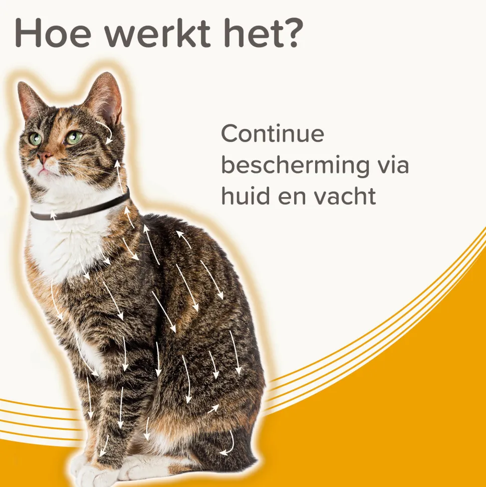 Beaphar Medicinale Halsband Kat