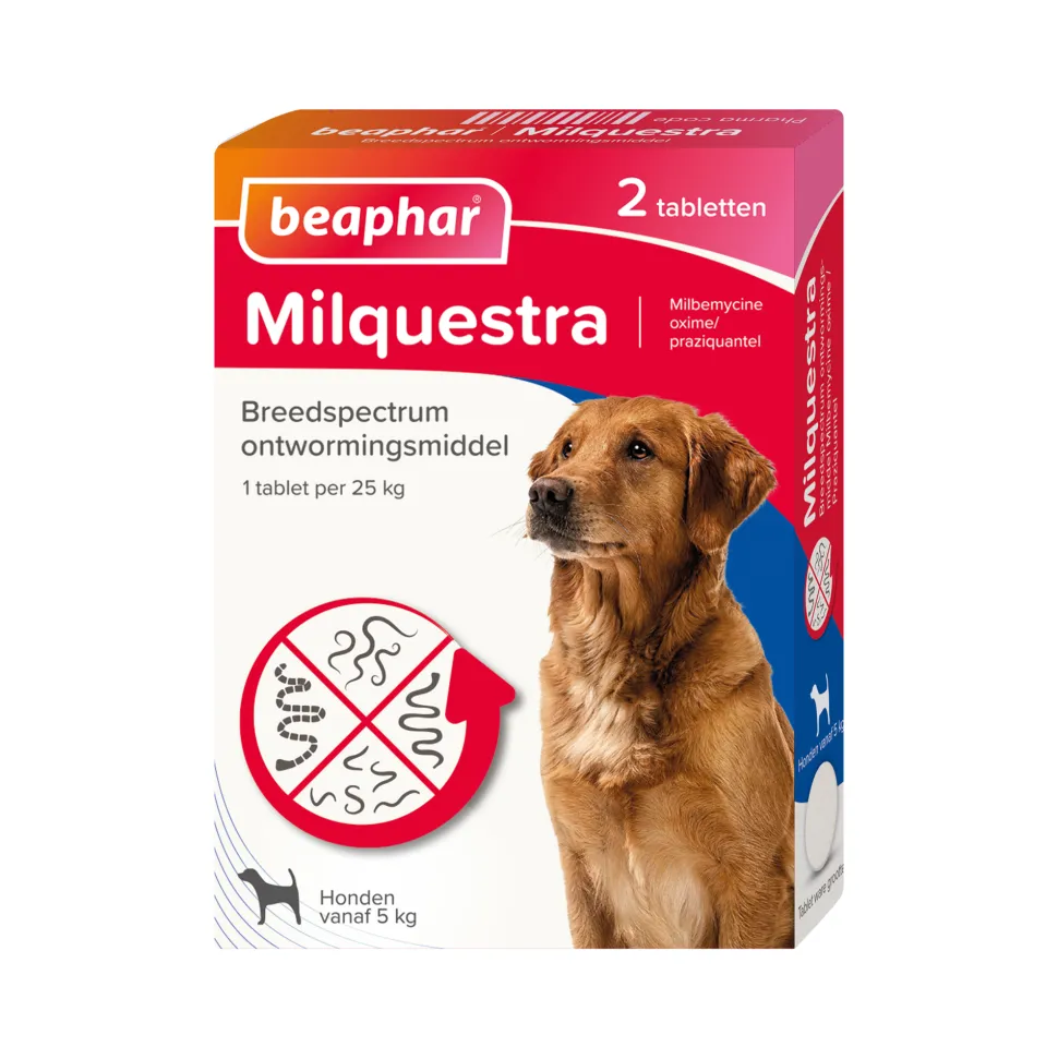 Beaphar Milquestra Hond