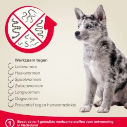 Beaphar Milquestra Hond