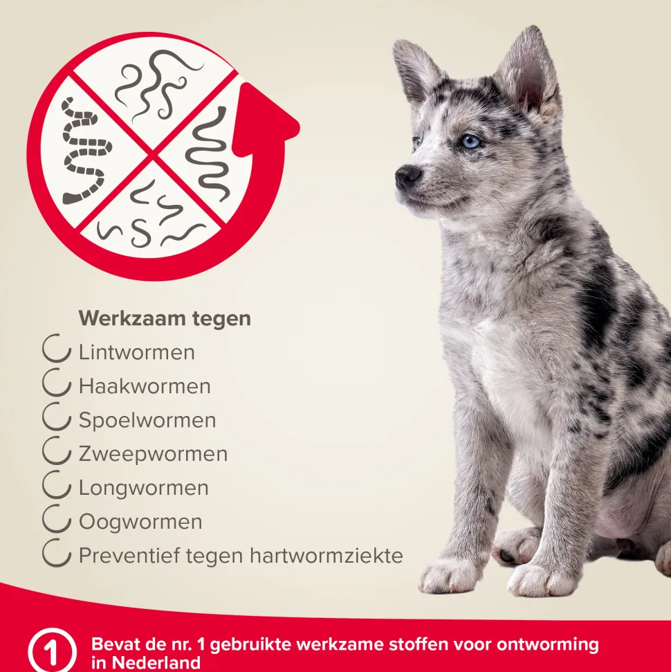 Beaphar Milquestra Hond