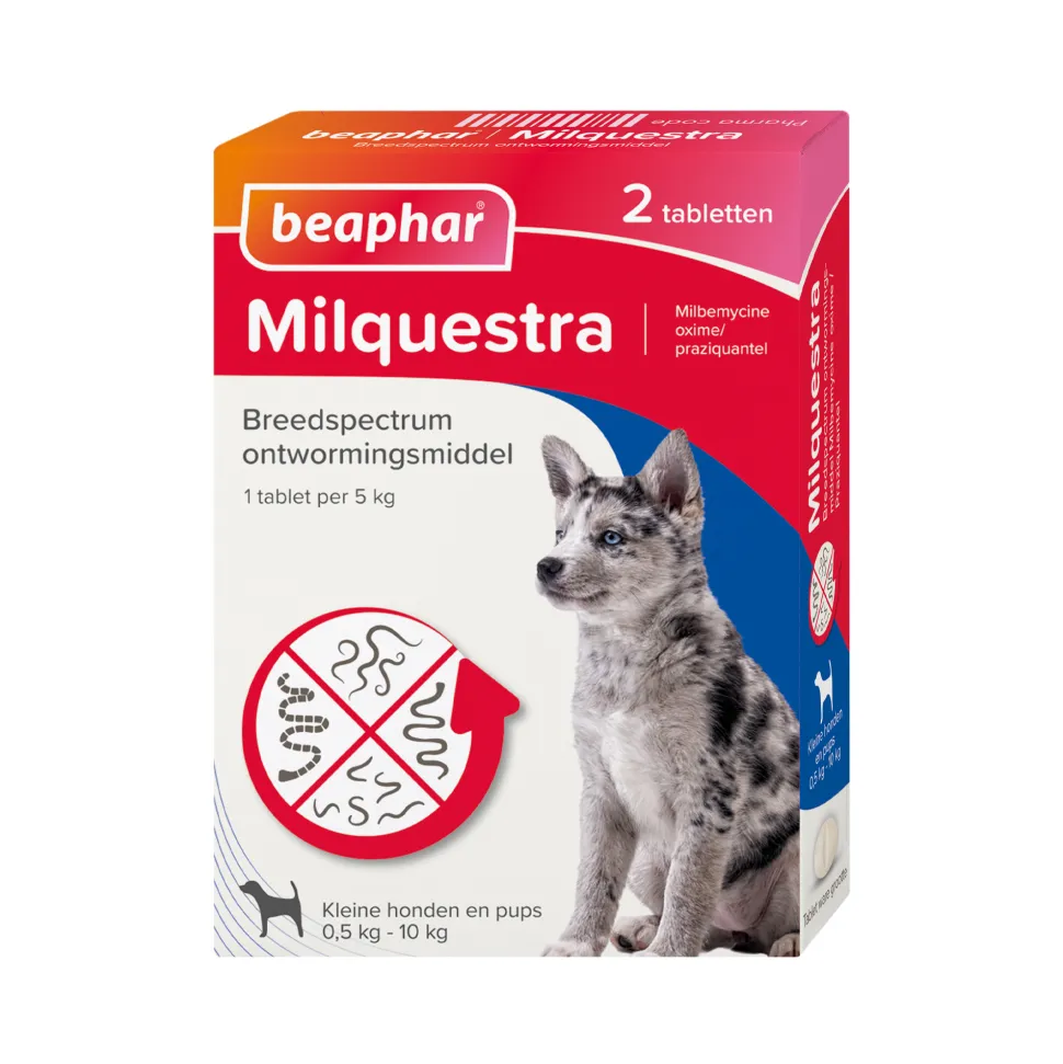 Beaphar Milquestra Hond