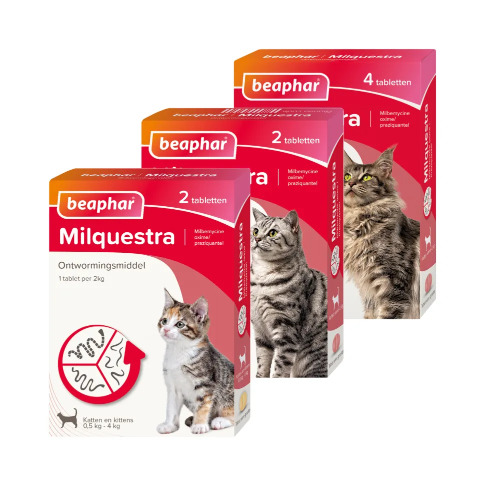 Beaphar Milquestra Kat