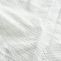 Beco Dog Ear Wipes - Coconut