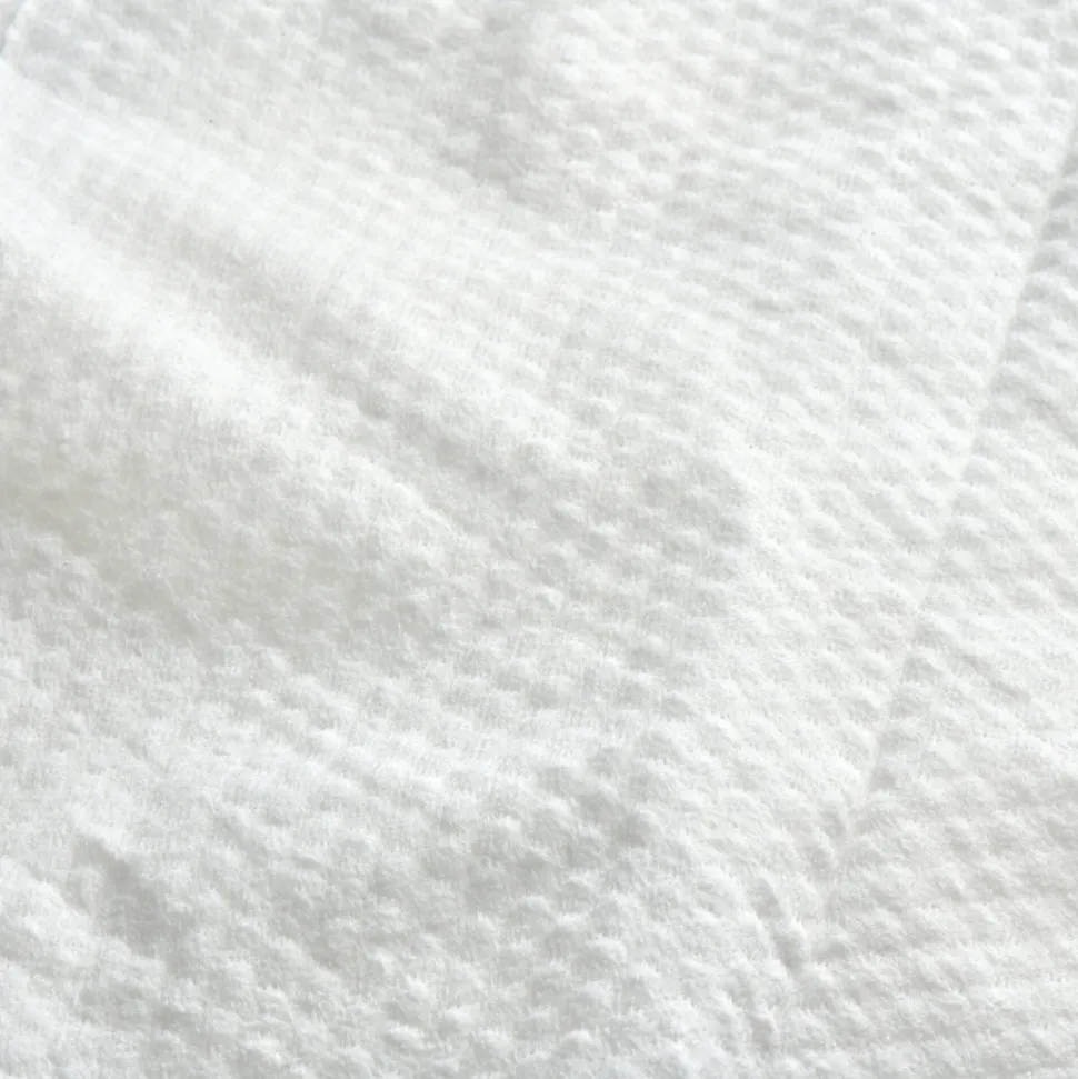 Beco Dog Ear Wipes - Coconut