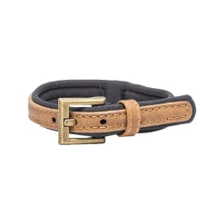Beeztees  Balacron Ax Halsband Kunstleer - Hond