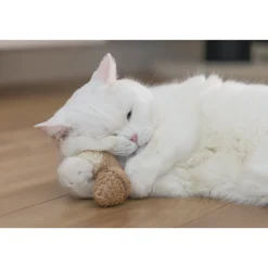 Beeztees Catnip Eikel Terry