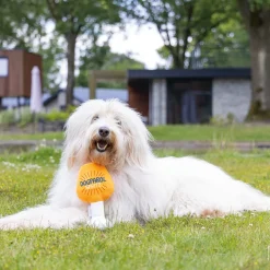 Beeztees Dog Apawrol