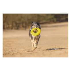 Beeztees Foam Frisbee