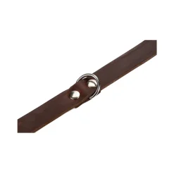 Beeztees Halsband Hond Leer