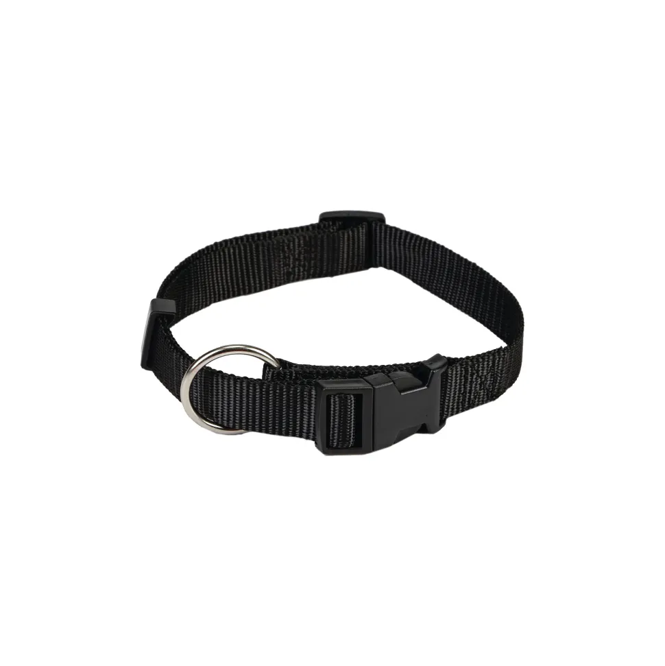 Beeztees Halsband Hond met Kliksluiting