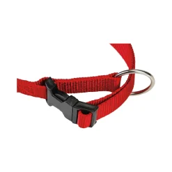 Beeztees Halsband Hond met Kliksluiting