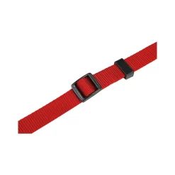 Beeztees Halsband Hond met Kliksluiting