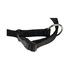 Beeztees Halsband Hond met Kliksluiting