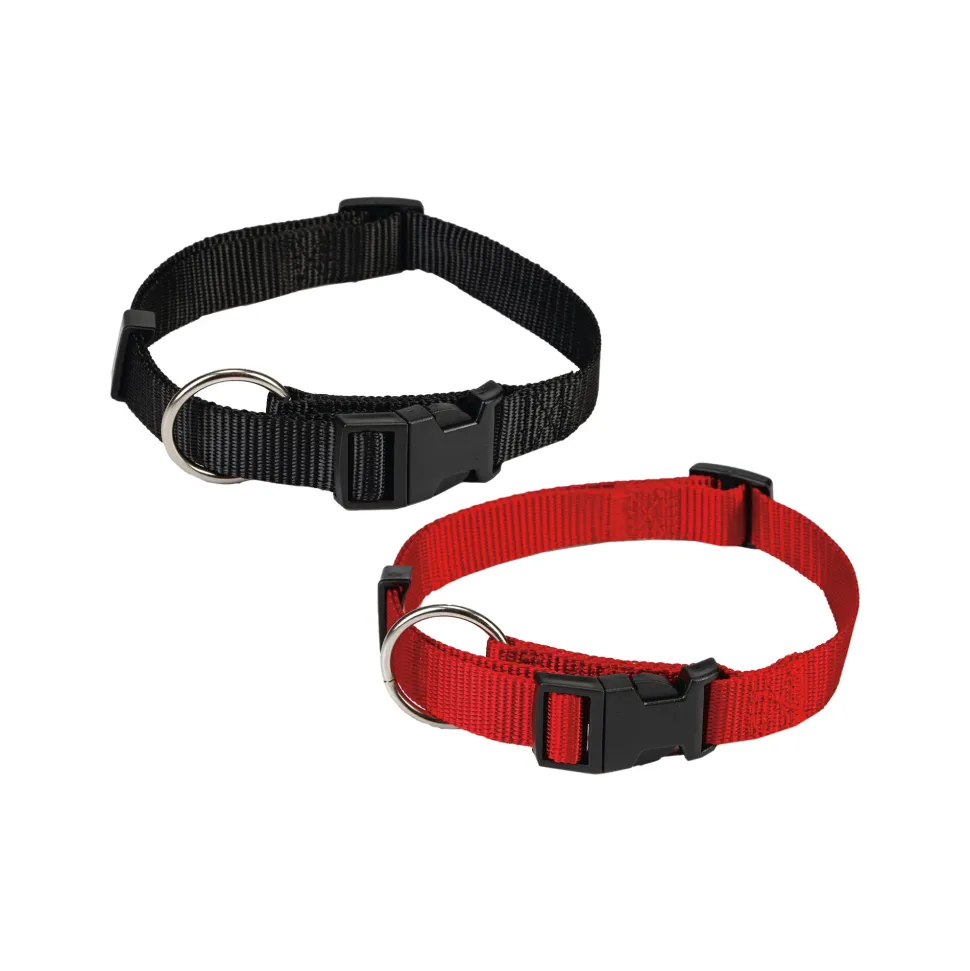 Beeztees Halsband Hond met Kliksluiting