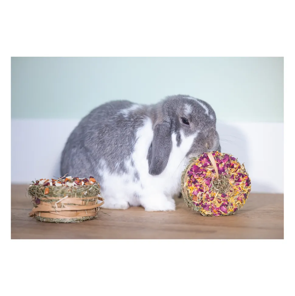 Beeztees Hooi Donut