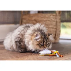 Beeztees Kitten Hide and Seek Iris