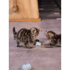 Beeztees Kitten Krinkel Balletjes