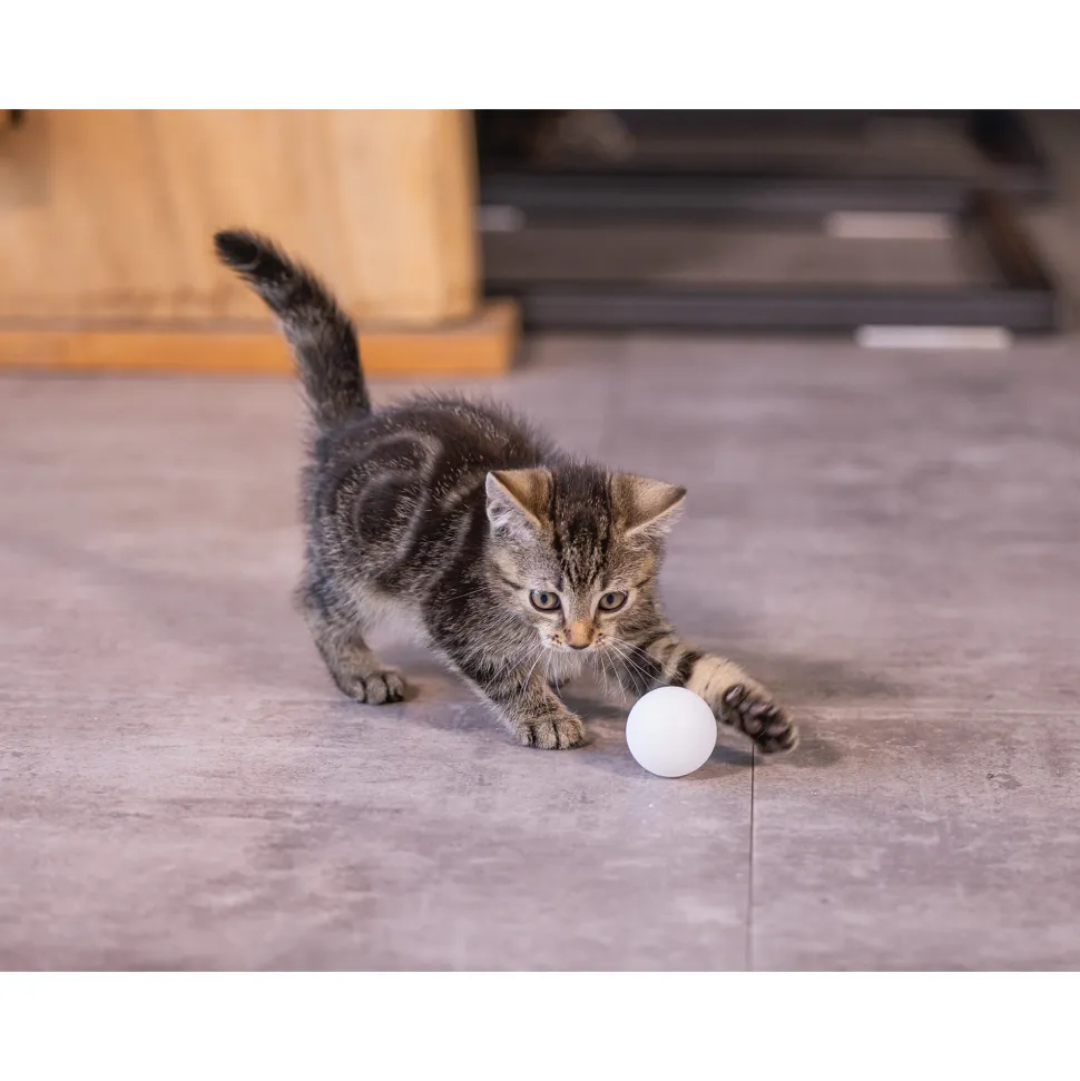 Beeztees Kitten PingPong ballen