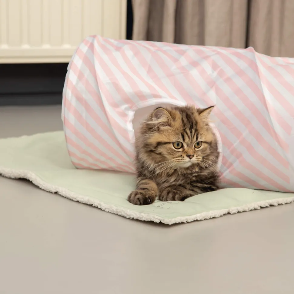 Beeztees Kitten Pluche Deken Tilou