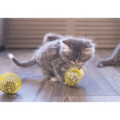 Beeztees Kitten Springbal