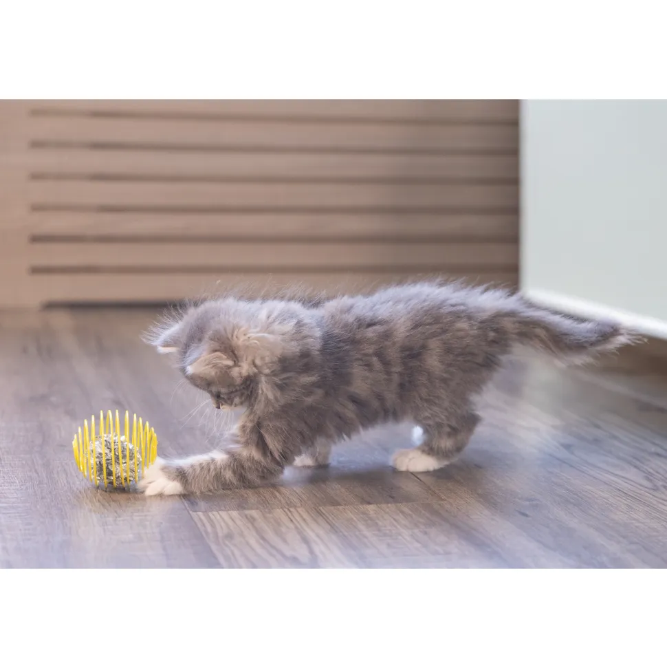 Beeztees Kitten Springbal