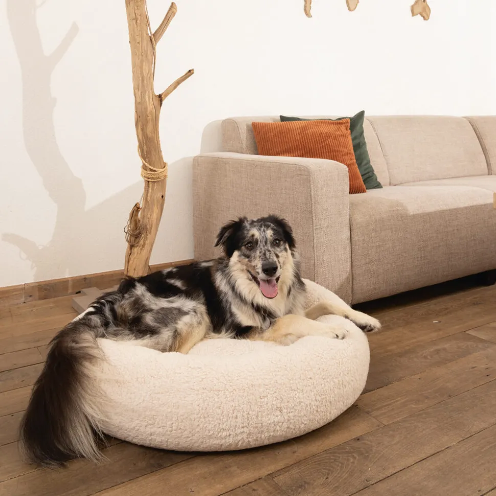 Beeztees Memory Foam Jaxx - Hondenmand - Pluche