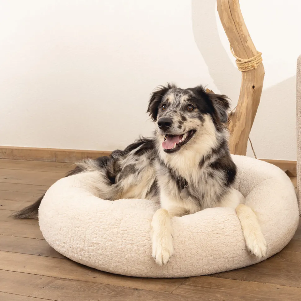 Beeztees Memory Foam Jaxx - Hondenmand - Pluche