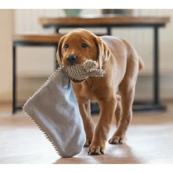 Beeztees Puppy Eco Knuffellap