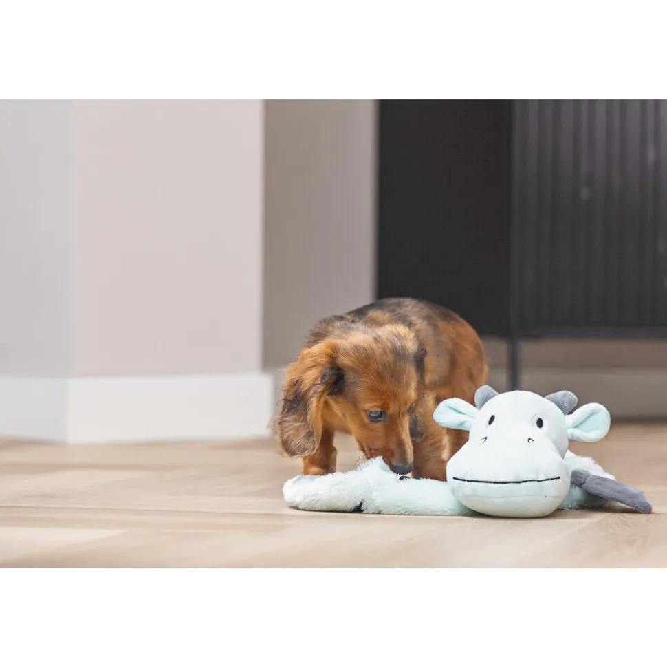 Beeztees Puppy Flatino Draak Yi