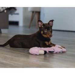 Beeztees Puppy Flatino Flamingo Fe