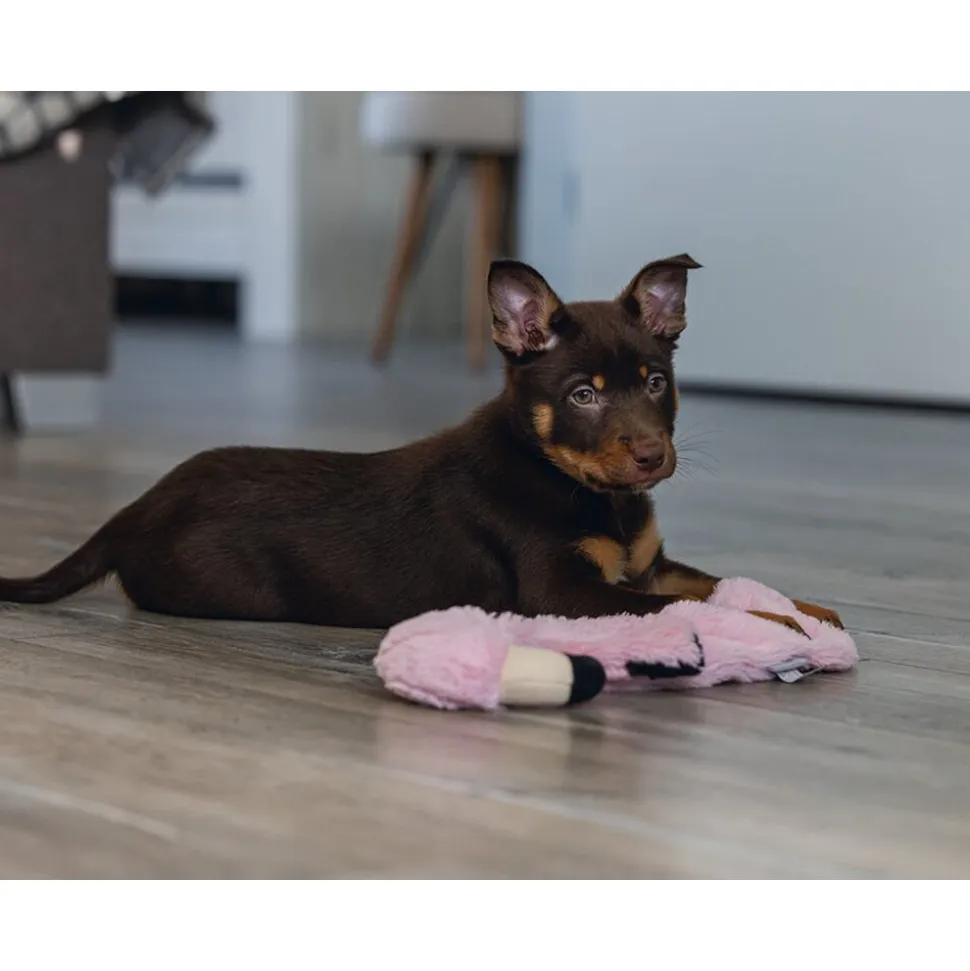 Beeztees Puppy Flatino Flamingo Fe