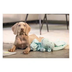 Beeztees Puppy Knuffeldoek Draak