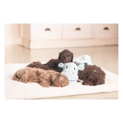 Beeztees Puppy Knuffeldoek Draak