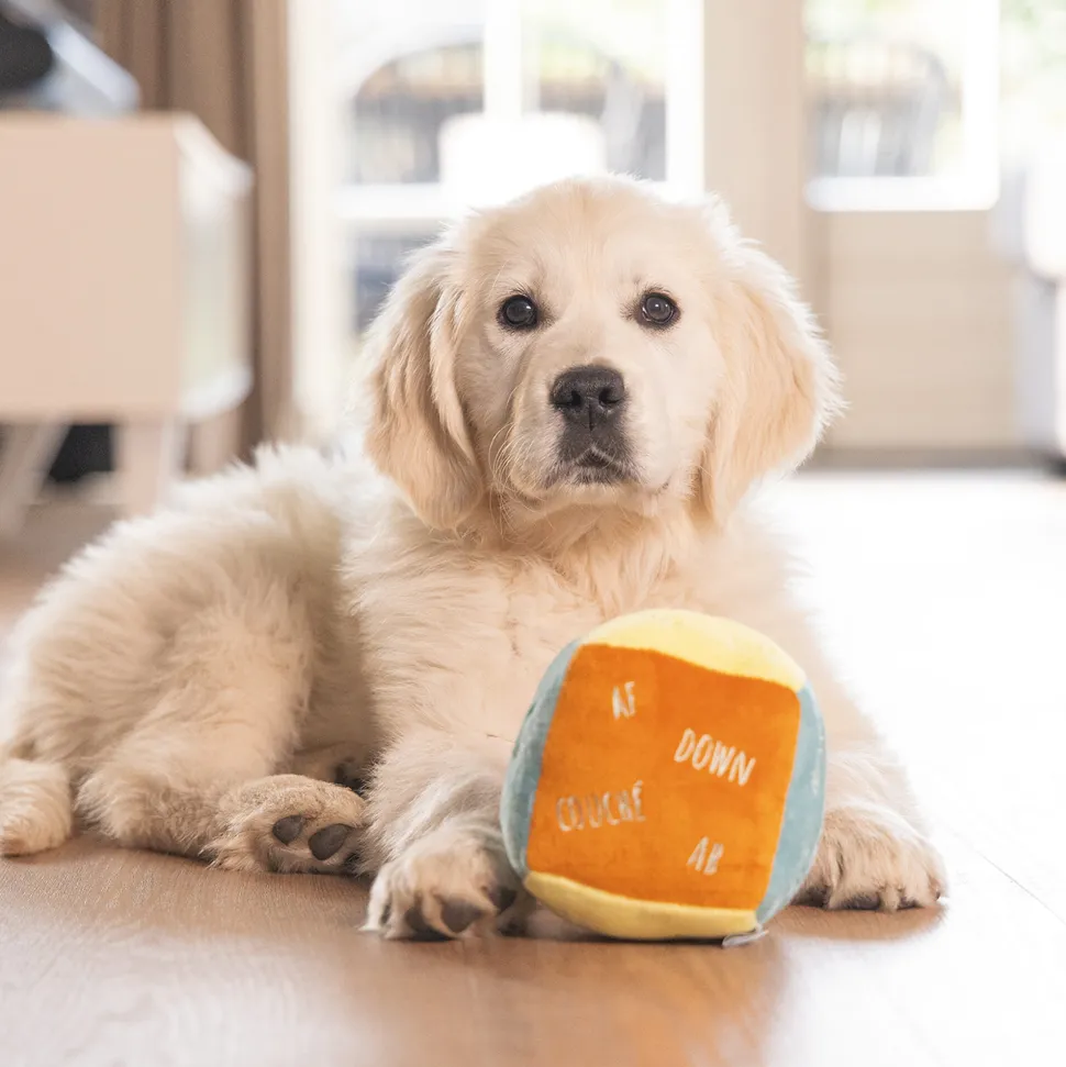 Beeztees Puppy Knuffel Kubus