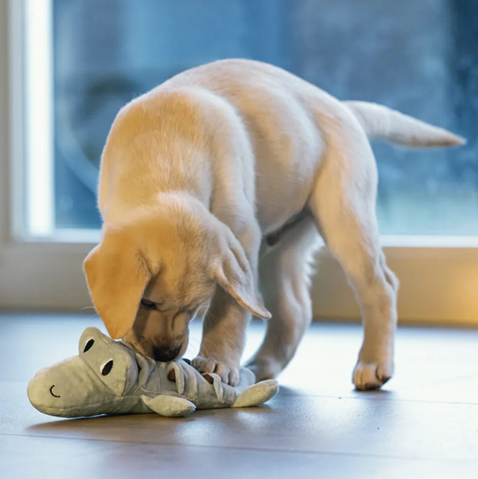 Beeztees Puppy Krokodil Jake