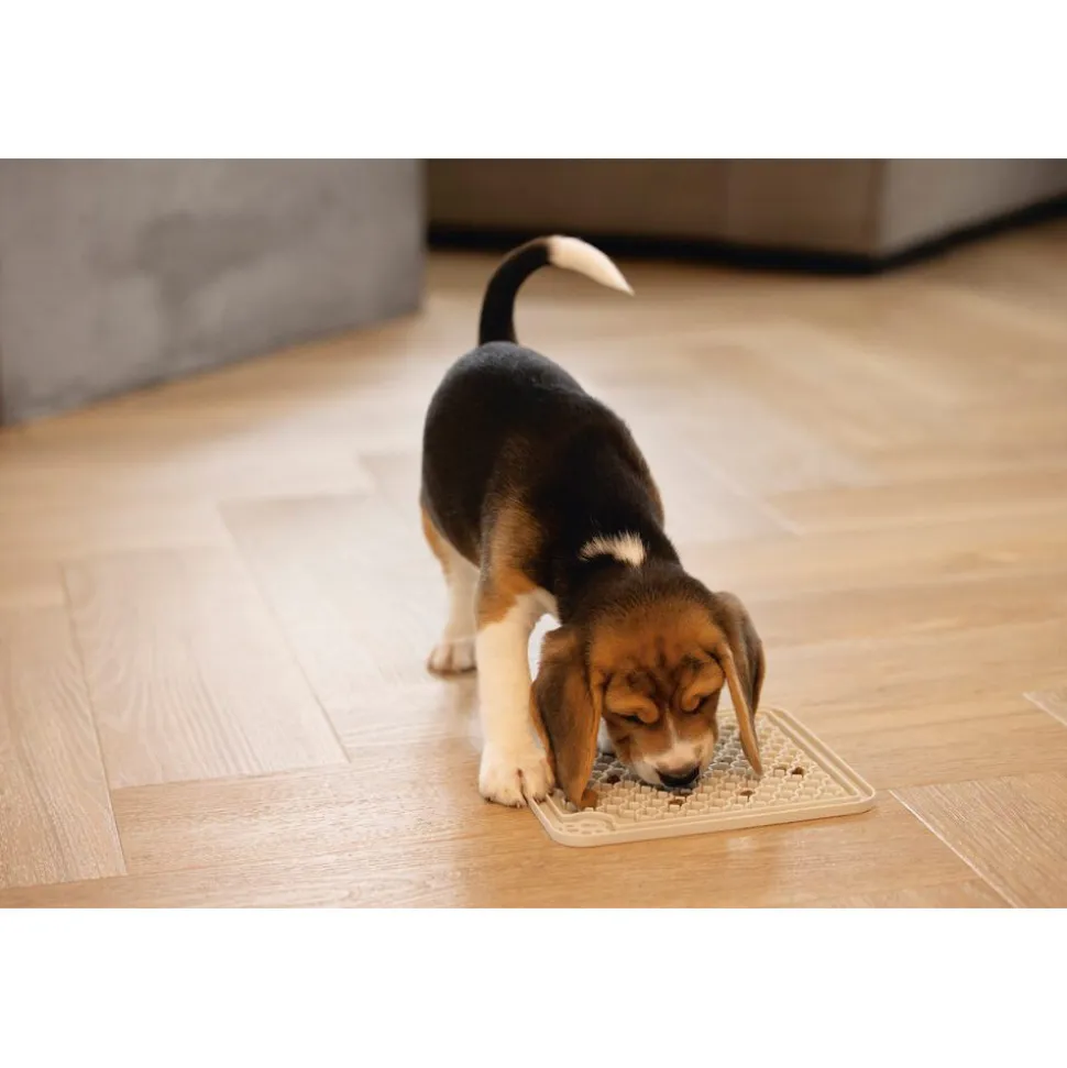 Beeztees Puppy Likmat Diza