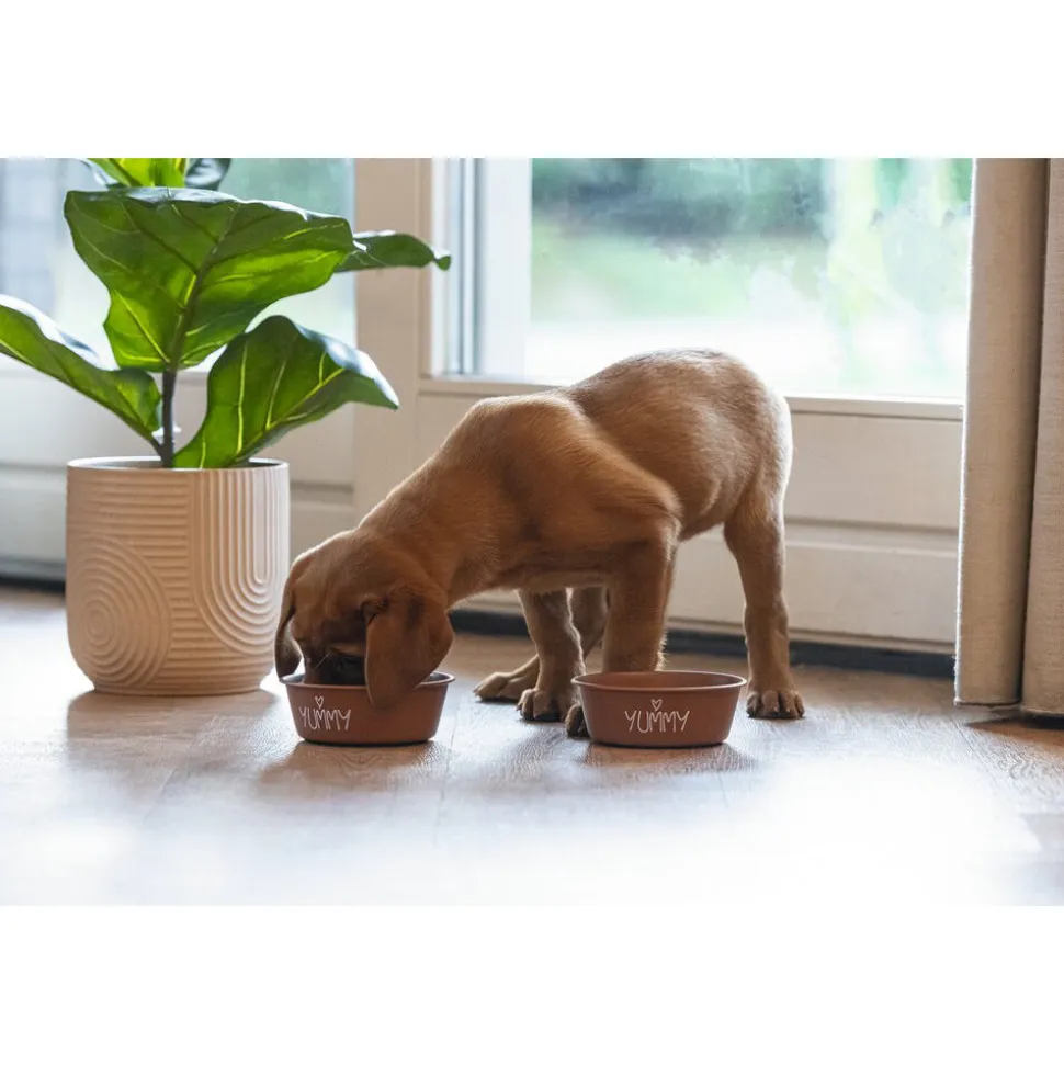 Beeztees Puppy Snoes - Hondenvoerbak