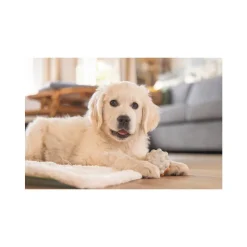 Beeztees Puppy Speelbal Denise