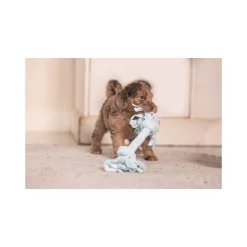 Beeztees Puppy Speeltouw Pim