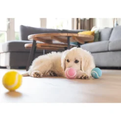 Beeztees Puppy Tennisballen