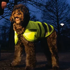 Beeztees Teddie Hondenjas Reflectie