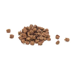 Beeztees Vistrainers