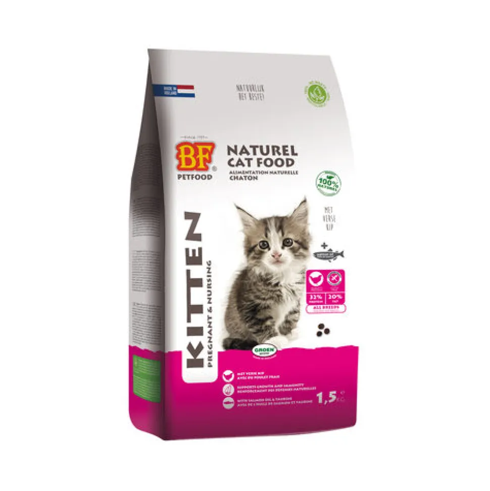 Biofood Kitten