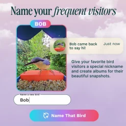 Bird Buddy Smart Bird Feeder